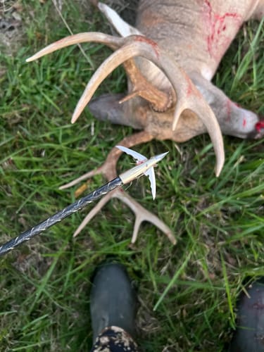 Customer photo review of Beast Broadheads (2-Pack + Practice Tip)