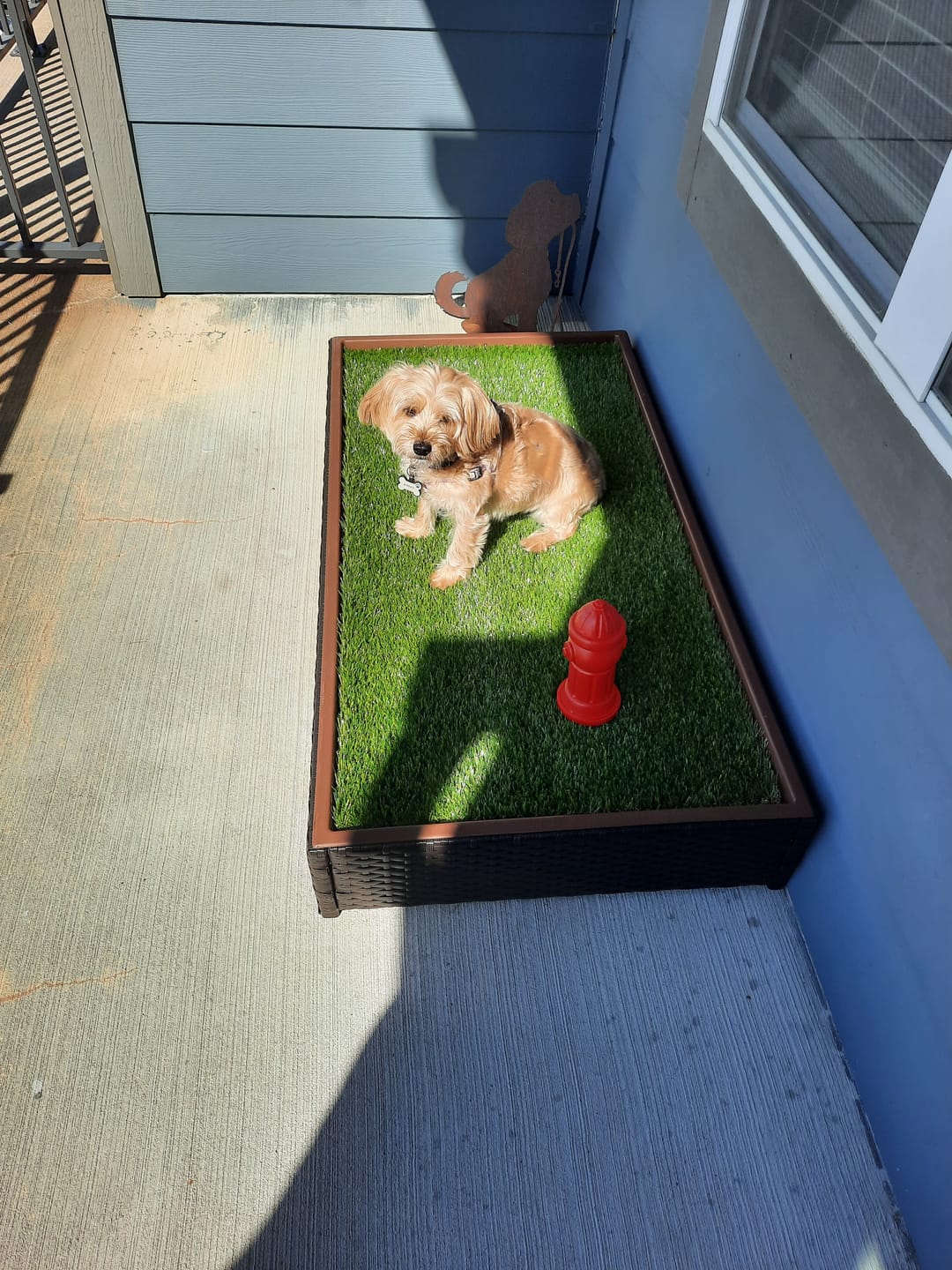 Customer photo review of Porch Potty STANDARD