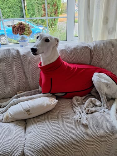 Customer photo review of Fleece Sighthound Base-Layer Coat with Underbelly and Snood