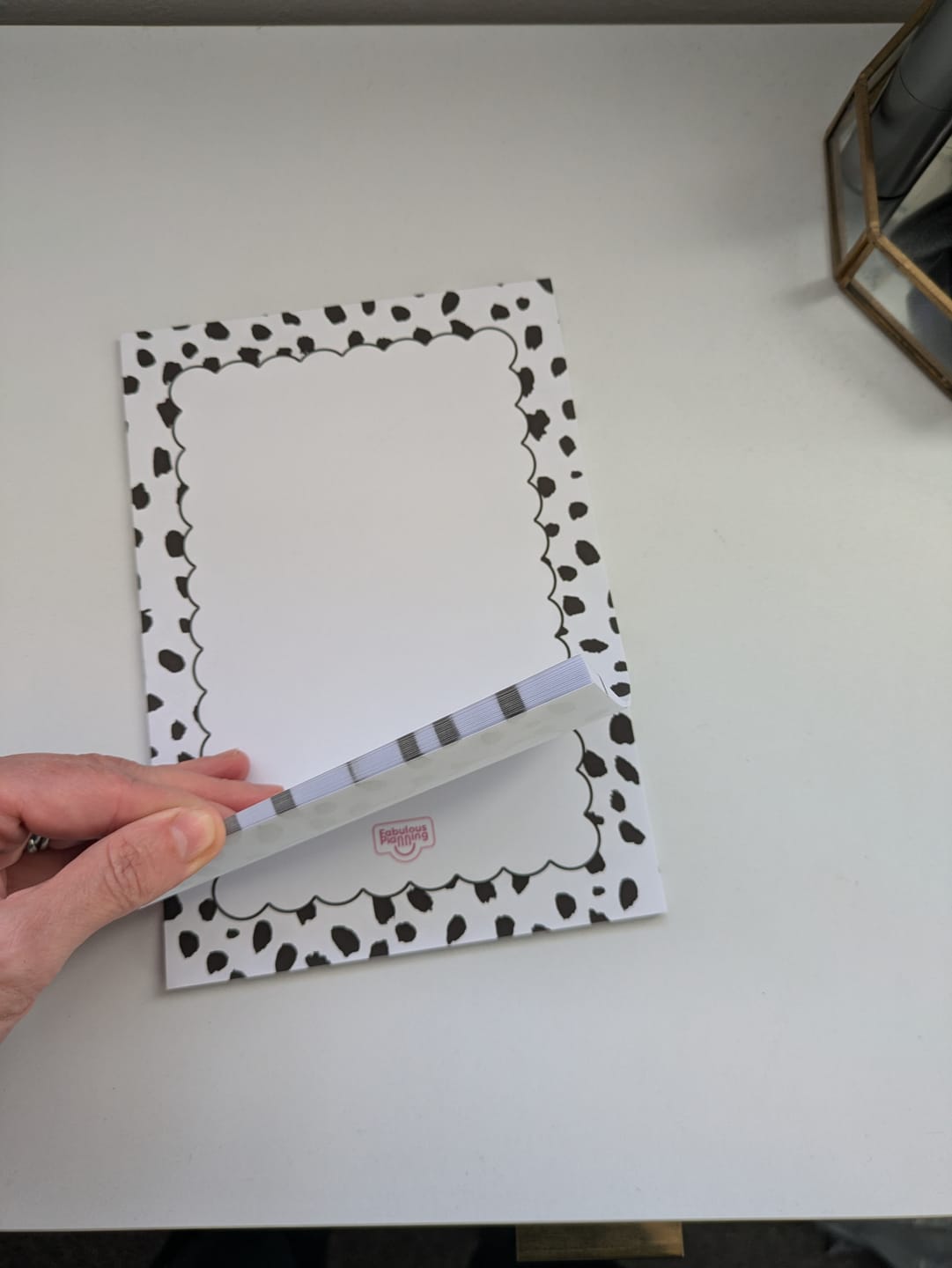 Customer photo review of Freebie Folio Pad - Dalmatian