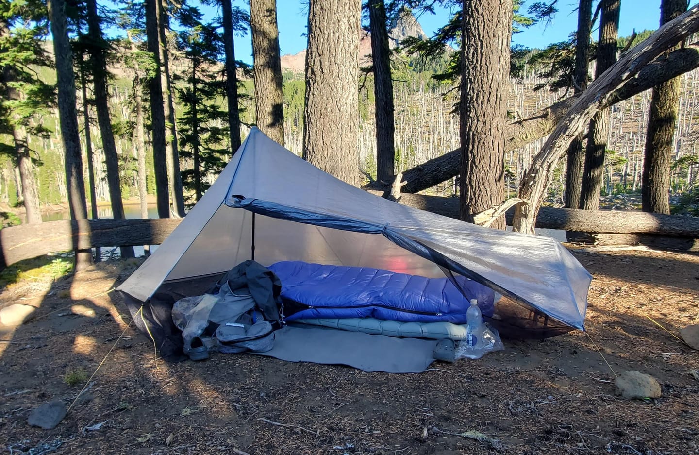 Customer photo review of The DCF Whisper