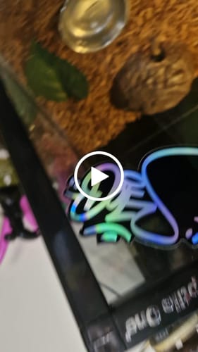 Customer video review of DOES 'Holo' Stickerset