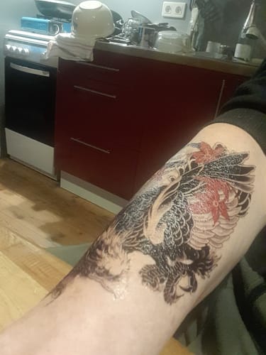 Customer photo review of Phénix Japonais