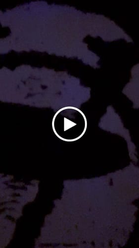 Customer video review of Vencae™ TEE - MASKED UP