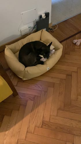 Customer photo review of Divanetto Mattias Senape (Soft Touch)