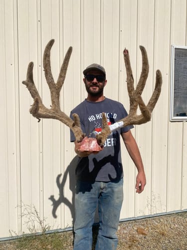 Customer photo review of Beast Broadheads (2-Pack + Practice Tip)