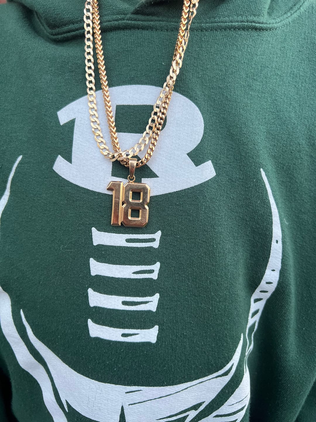 Customer photo review of Franco Chain (Gold)