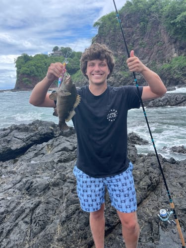 Customer photo review of 9'4" No Excuses Surf Travel Rod with Tube Medium-Heavy Action 3/4oz to 3oz