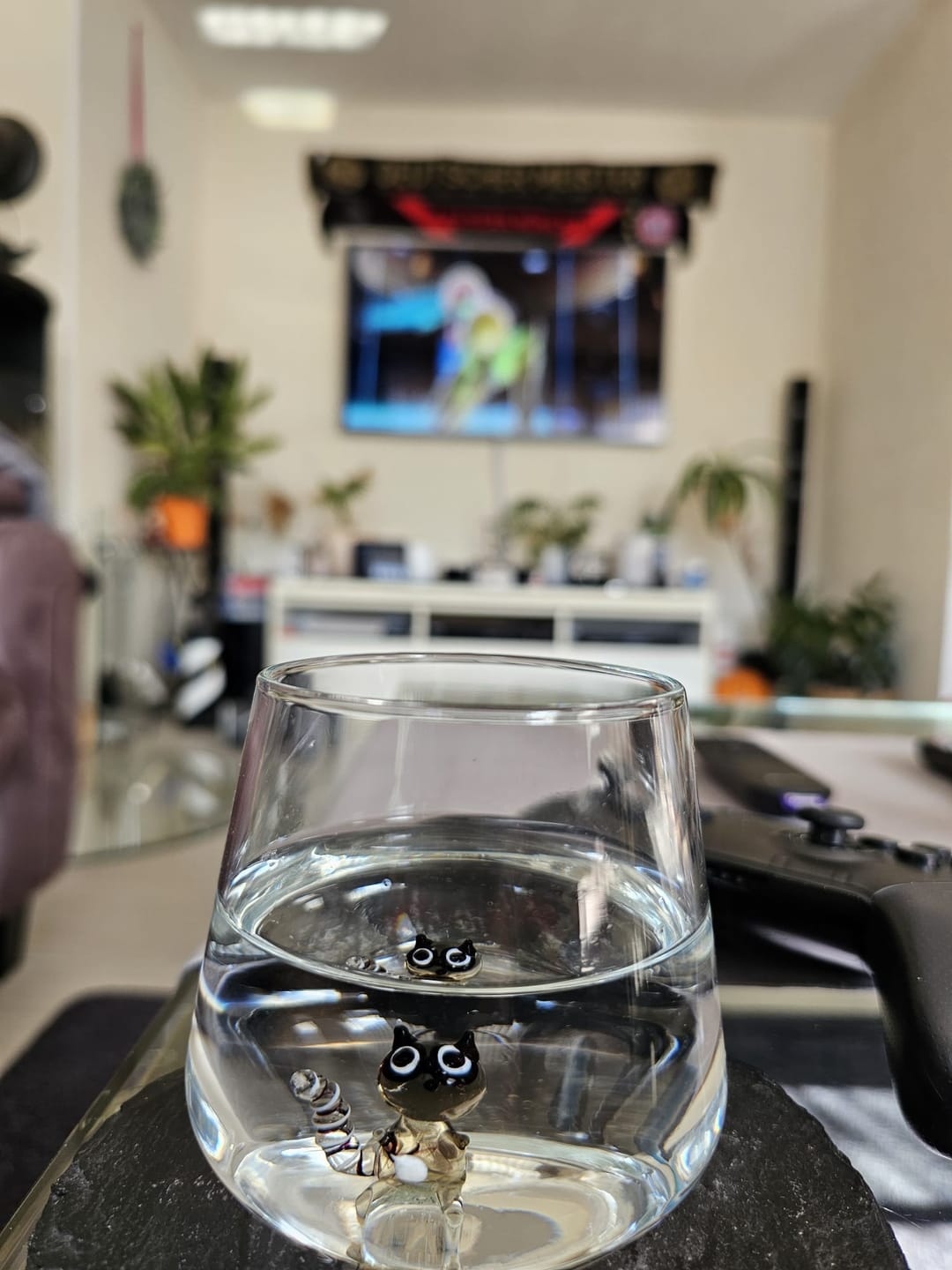 Customer photo review of Racoon Glass