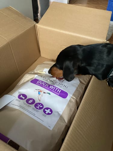 Customer photo review of Grain-Free Duck with Sweet Potato & Orange (Small Kibble)