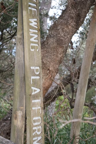 Customer photo review of Original Cut Swimsuit (Sky)