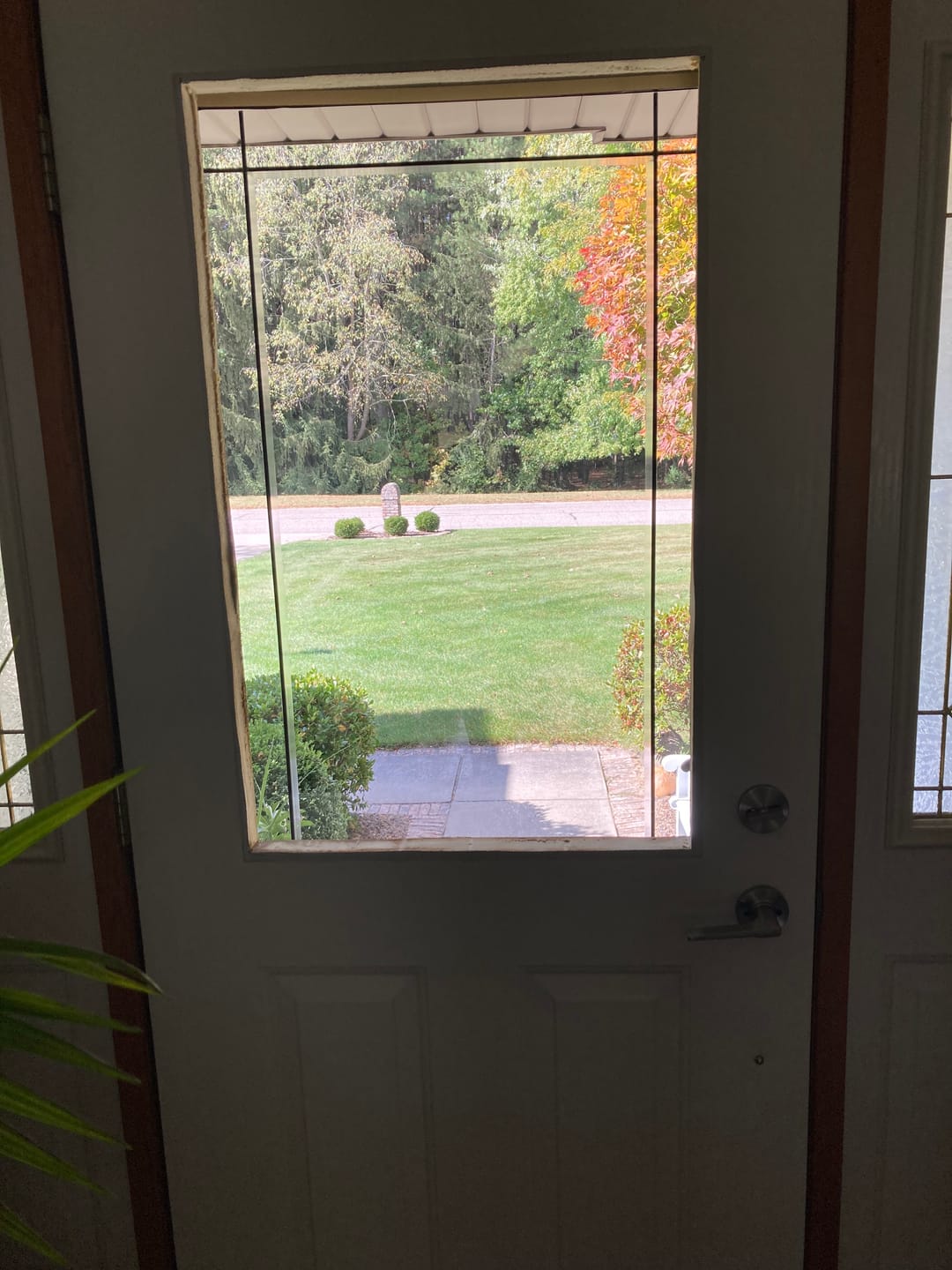 Customer photo review of Half Lite Frame Kit