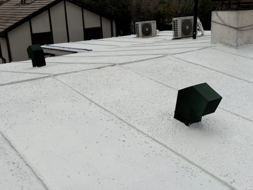 Reseña con foto de un cliente sobre Lanco Sellador de Techos Urethanizer (Blanco)