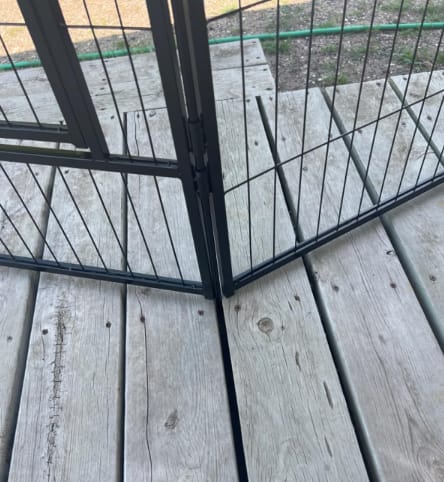 Customer photo review of Instant Dog Playpen for RV Trips