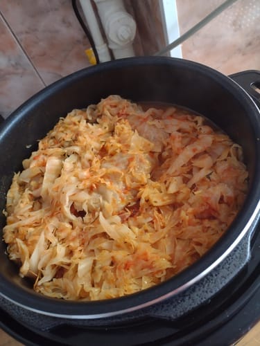 Customer photo review of Multicooker Novio EasyCook