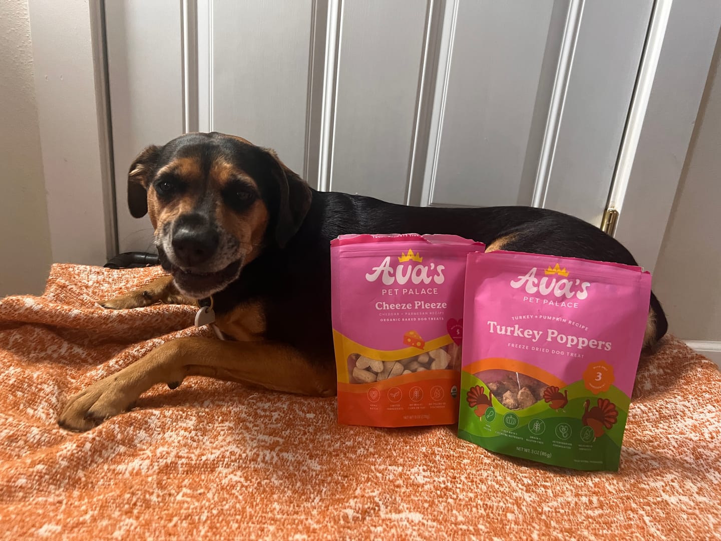 Customer photo review of Freeze Dried Dog Treats - Turkey Poppers