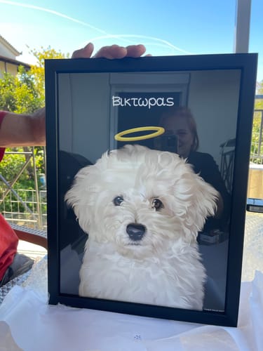 Customer photo review of Πορτραίτο Κατοικίδιου - In Memory