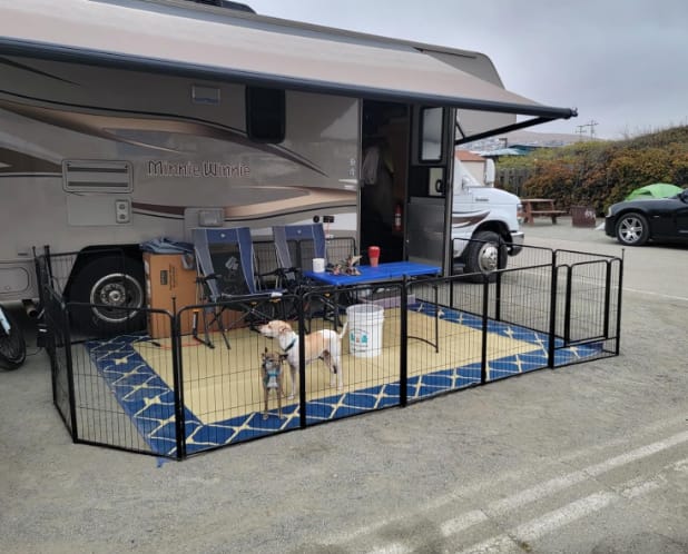 Customer photo review of Instant Dog Playpen for RV Trips