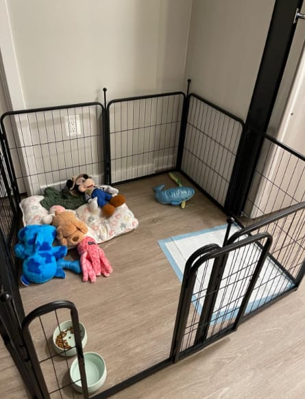 Customer photo review of Instant Dog Playpen for RV Trips
