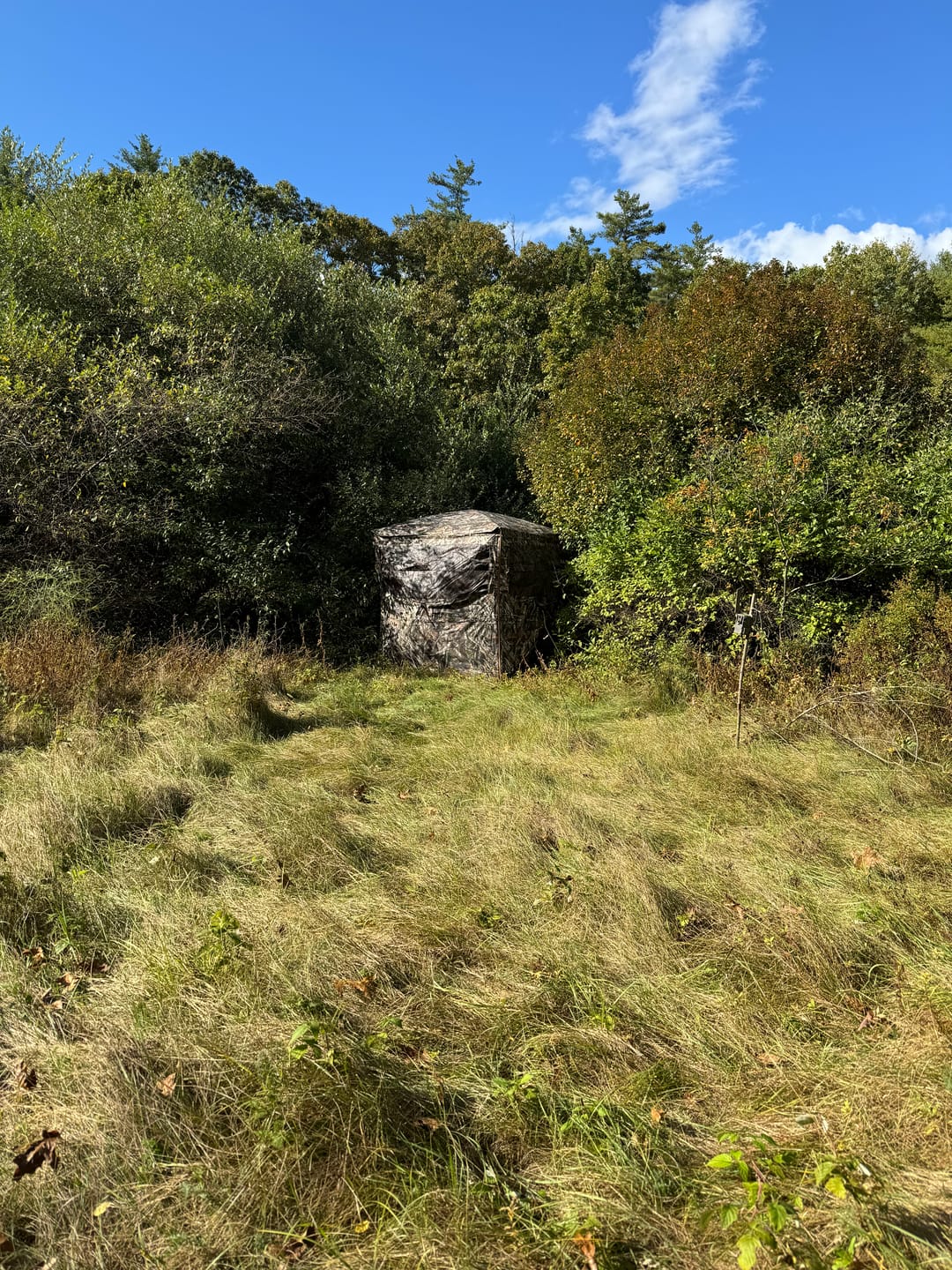 Customer photo review of OptiVue 360° Ultra-HD See-Through Hunting Blind with 90° Full-Access Door
