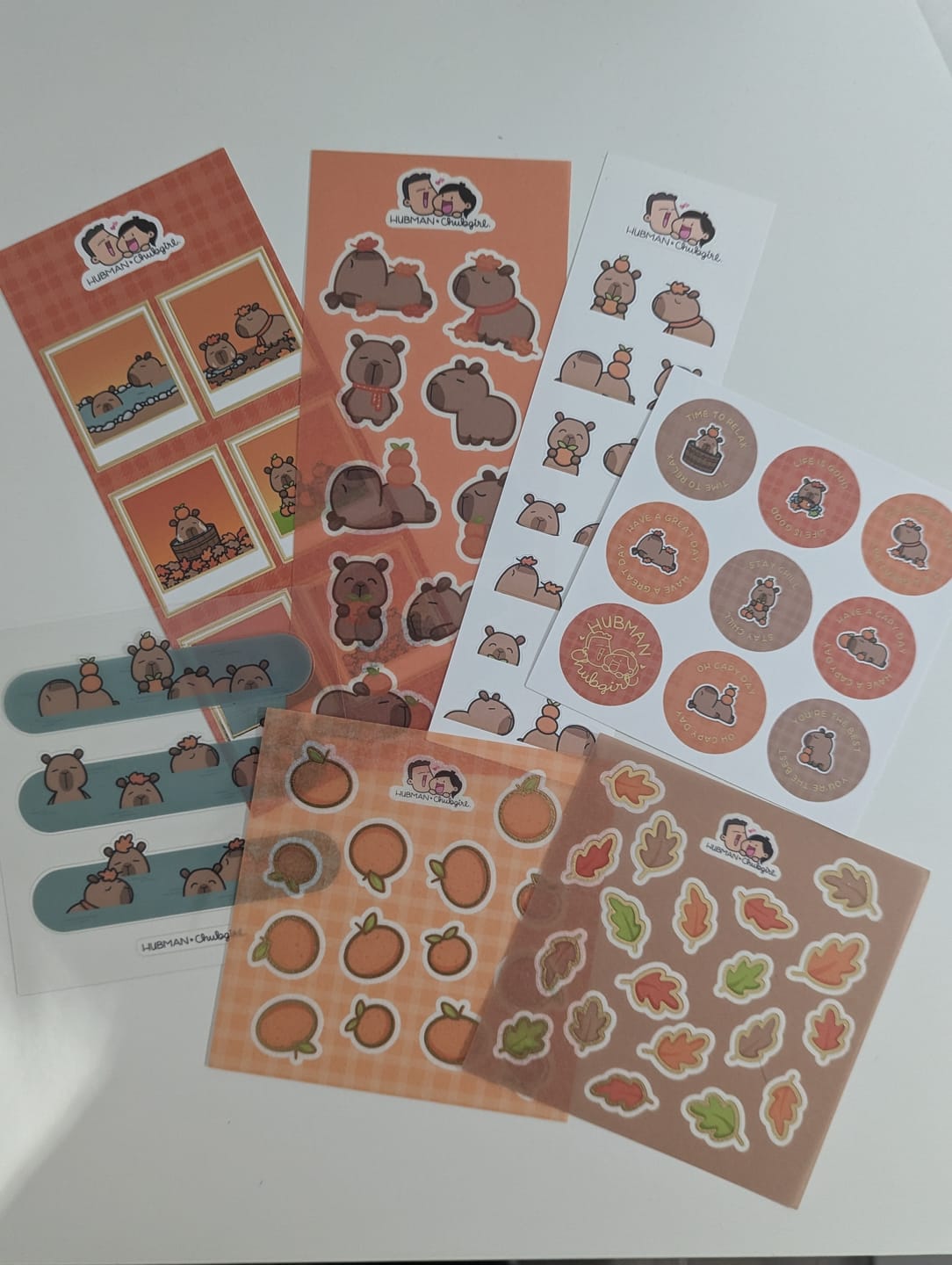 Customer photo review of (Pre-order) Autumn Capybaras Variety Sticker Pack