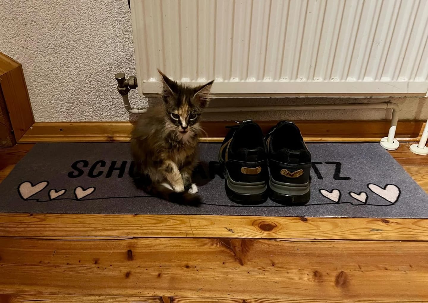 Customer photo review of Schuhparkplatz Velour 100x35cm