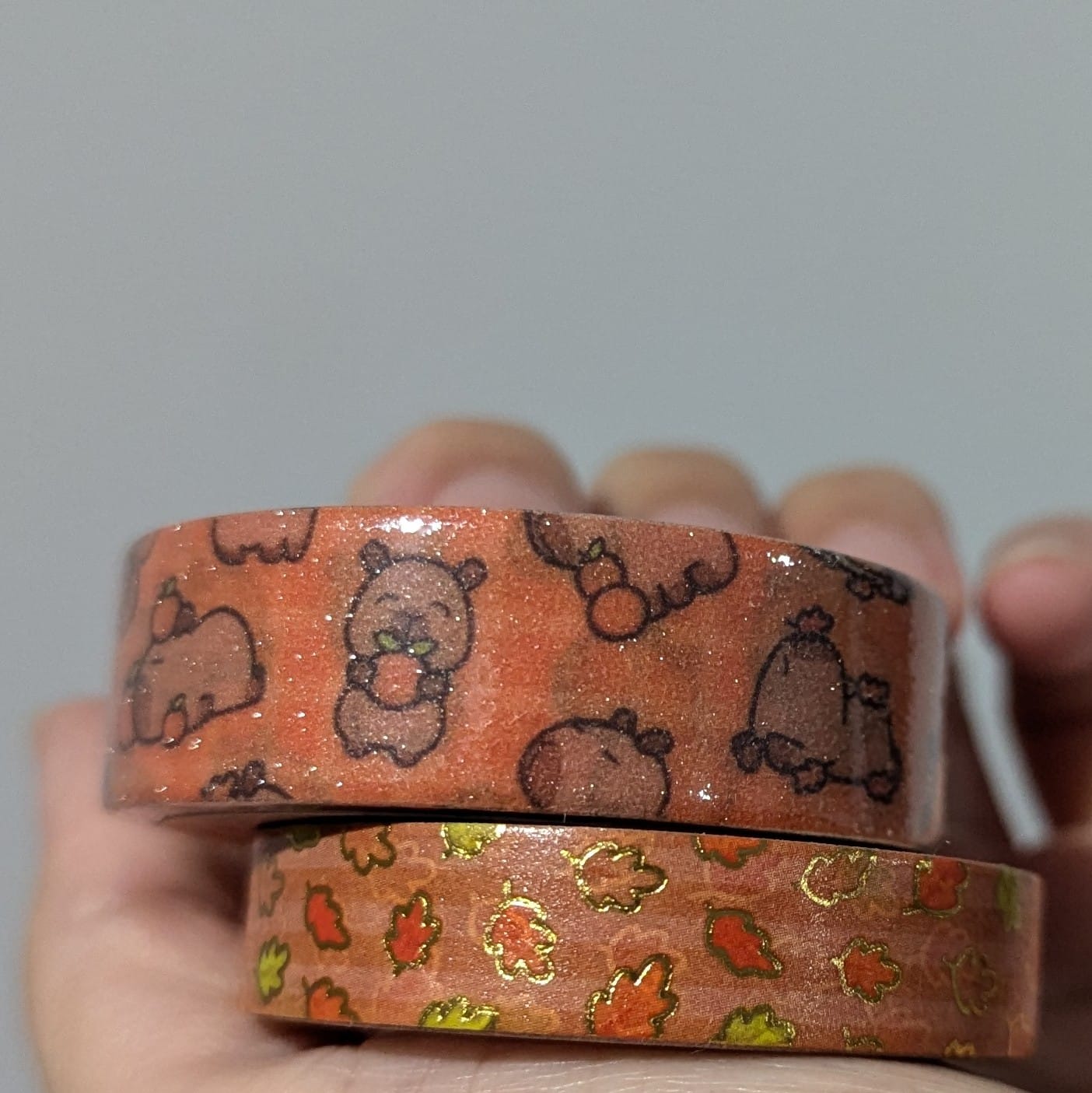 Customer photo review of (Pre-order) Autumn Capybaras Washi Tapes (Set of 2)