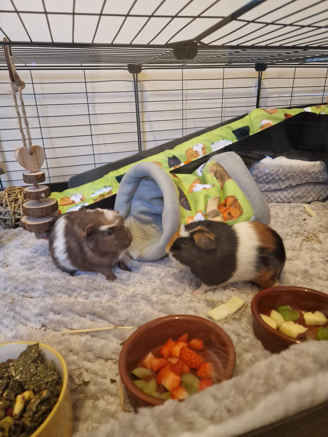 Customer photo review of Set of 2 Fleece Liners | Velvet Grey | Plush Bedding