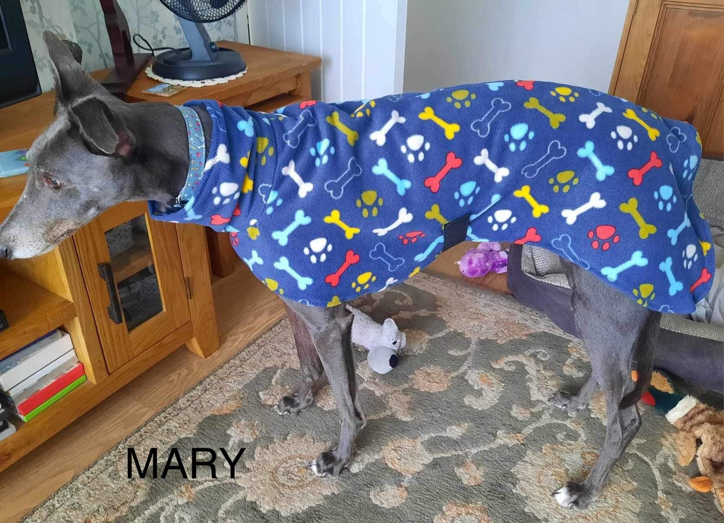 Customer photo review of Paw Print & Bones Anti Pill Polar Fleece Fabric