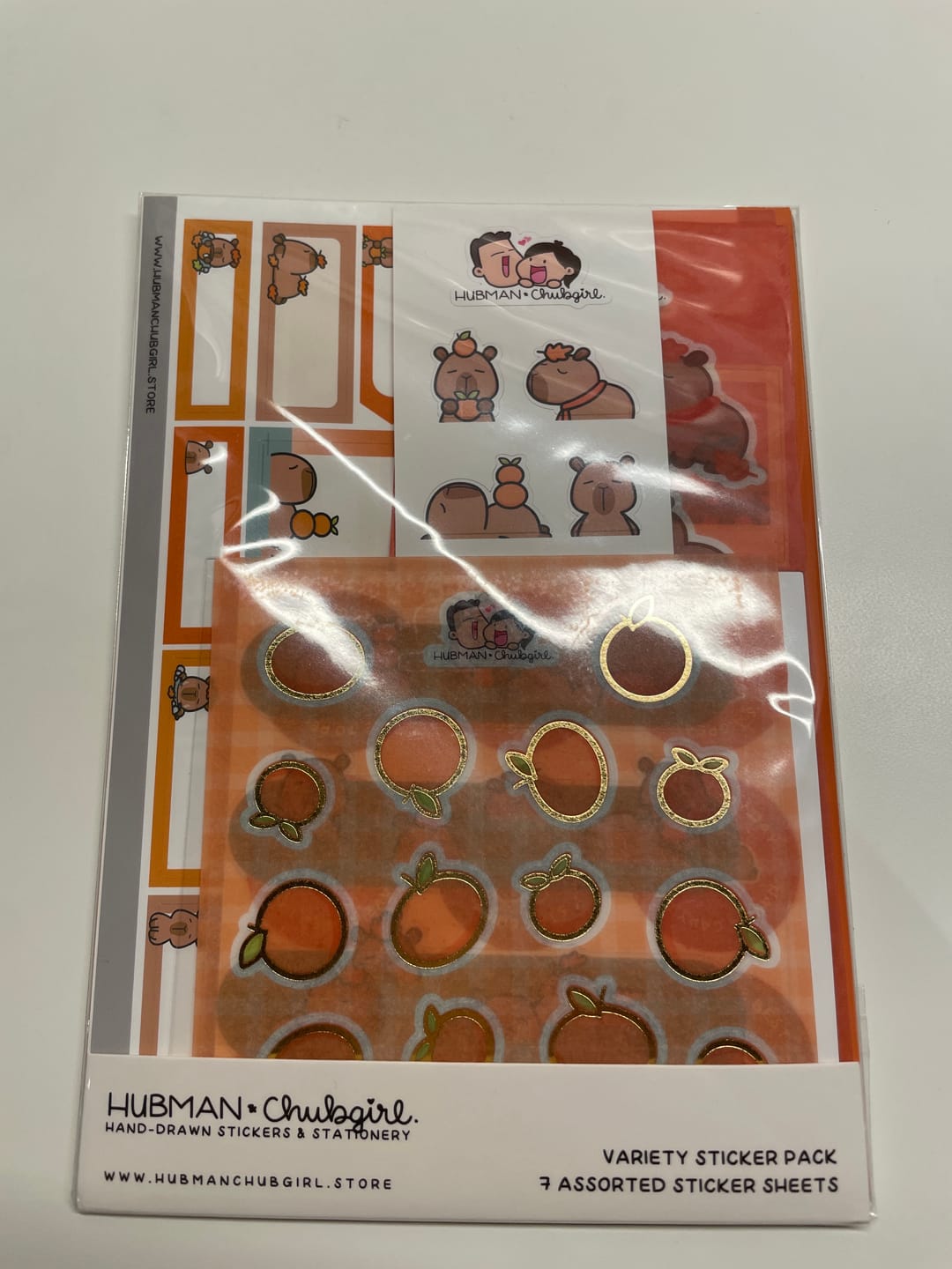 Customer photo review of (Pre-order) Autumn Capybaras Variety Sticker Pack
