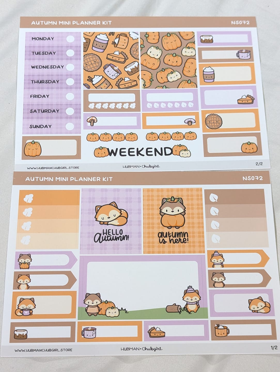 Customer photo review of Autumn Mini Planner Kit (Set of 2)