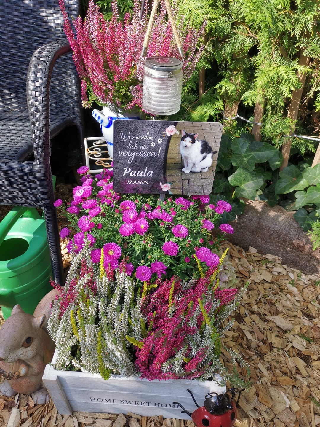 Customer photo review of Katzen Gedenktafel mit Foto & Spruch (UV- & Wetterfest)