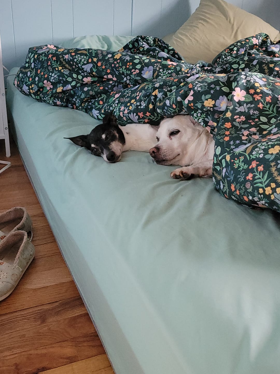 Customer photo review of Wool Comforter
