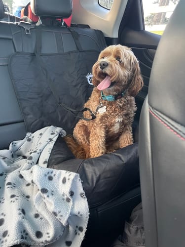 Customer photo review of Car Seat Cover
