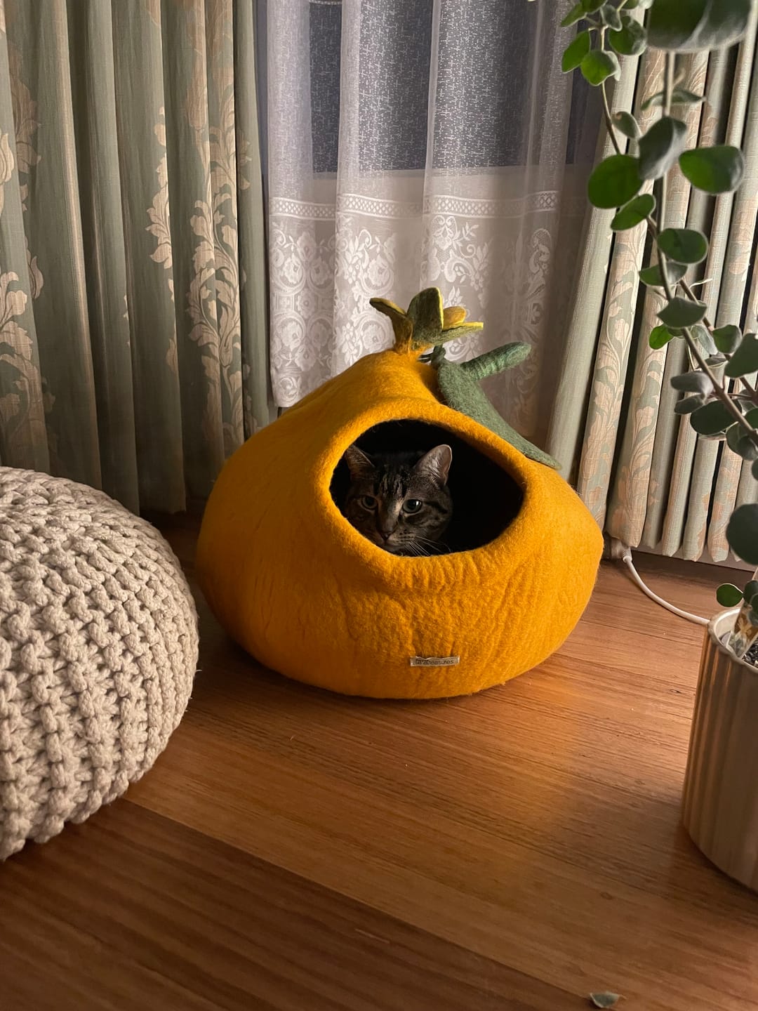 Customer photo review of Cat Cave - Pumpkin