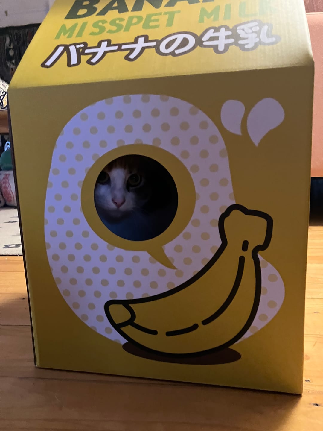 Customer photo review of Misspet Milk Box | Cat Scratcher and Nest