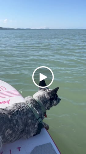 Customer video review of Aquaplanet ROCKIT 10’2" Inflatable Paddle Board/Kayak Package - Pink