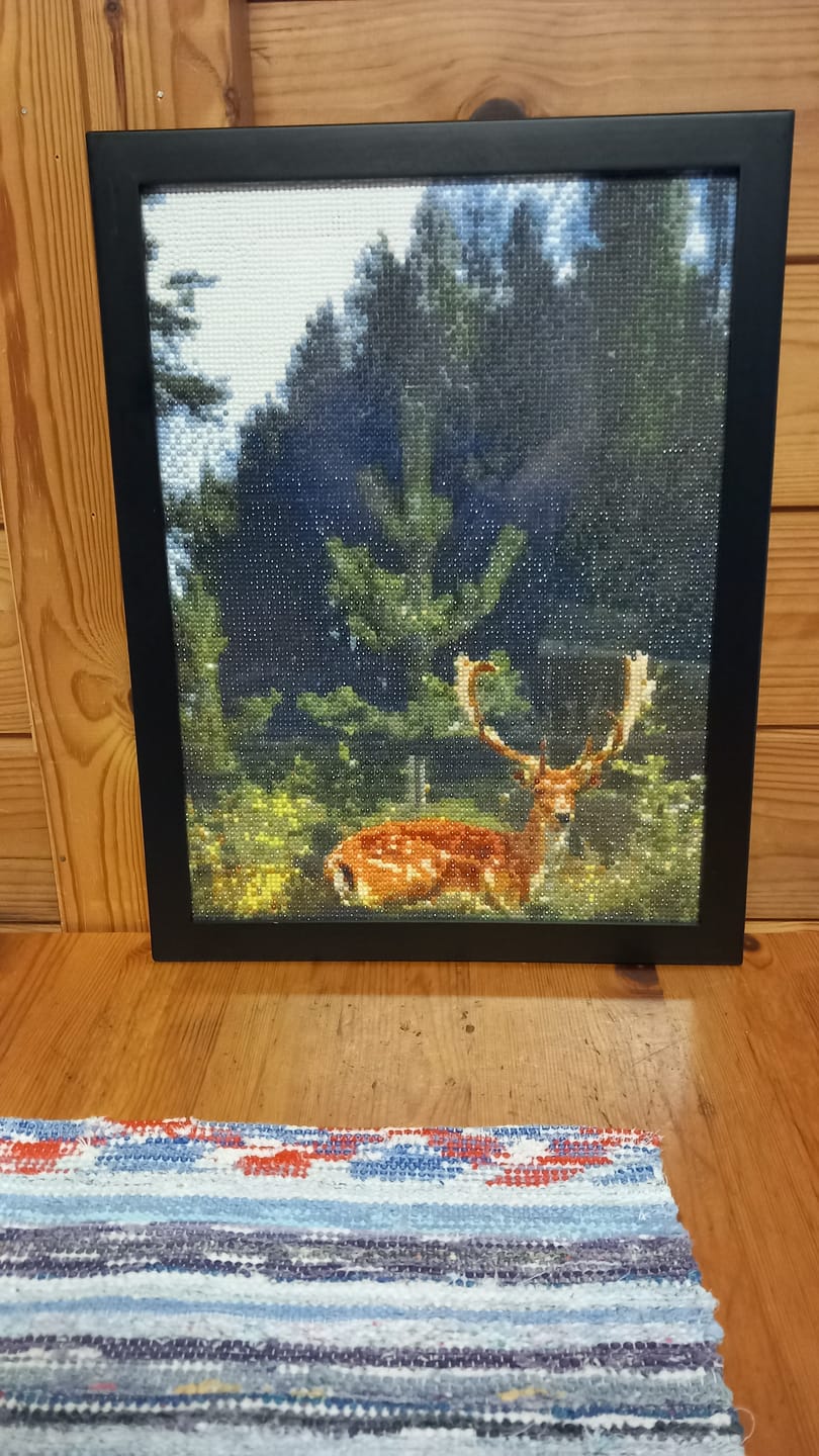 Customer photo review of Diamond Painting -maalaus omasta kuvasta