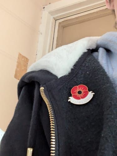 undefined review of Lest We Forget Lapel Poppy Pin Badge image 1 out of 1