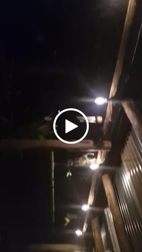 Customer video review of Solar Festoon Outdoor Bulb String Lights - Vintage Bulb