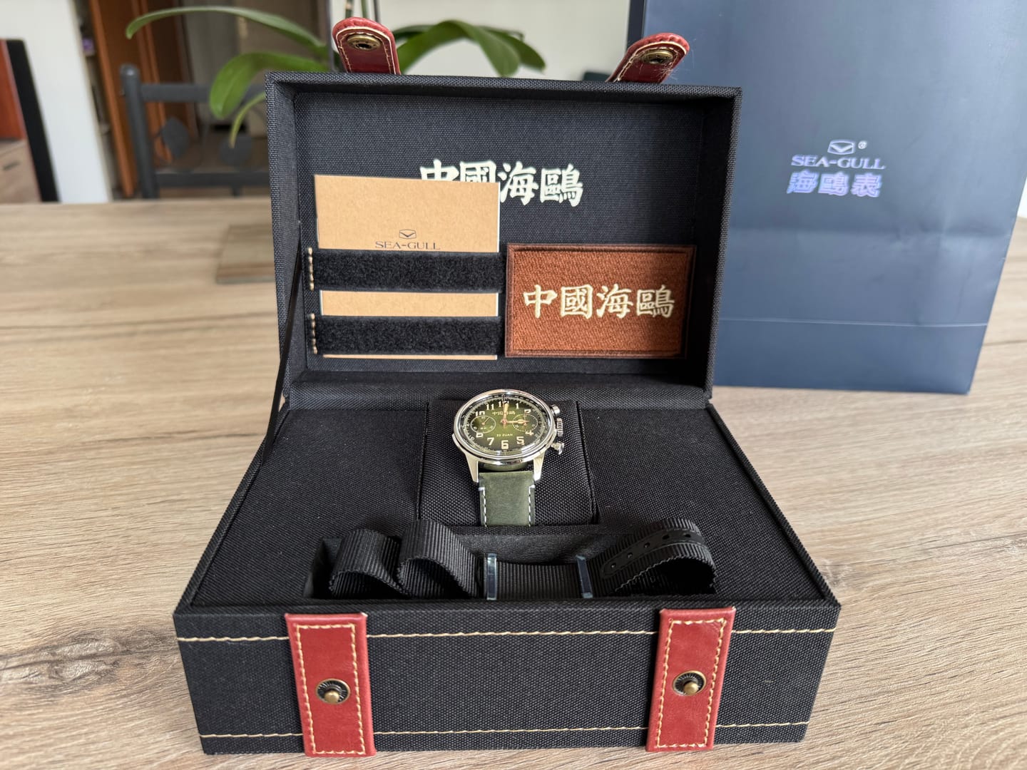 Customer photo review of Seagull 1963 Wind Chaser Edition