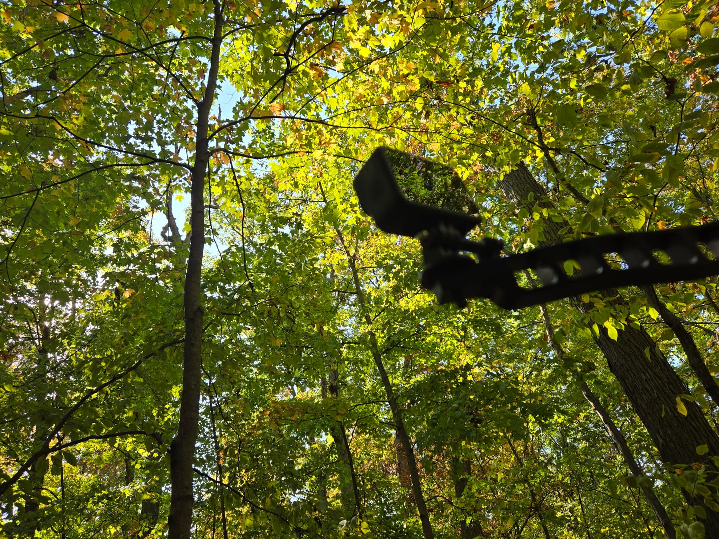 Customer photo review of CAMERA ARM