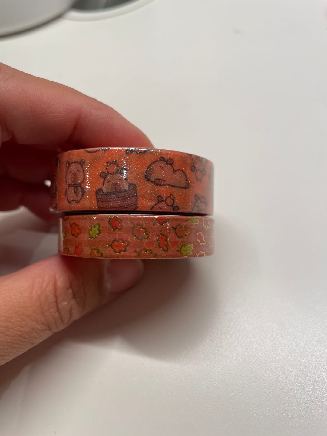 Customer photo review of (Pre-order) Autumn Capybaras Washi Tapes (Set of 2)
