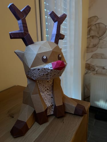 Customer photo review of Patrons Rudolphe le renne