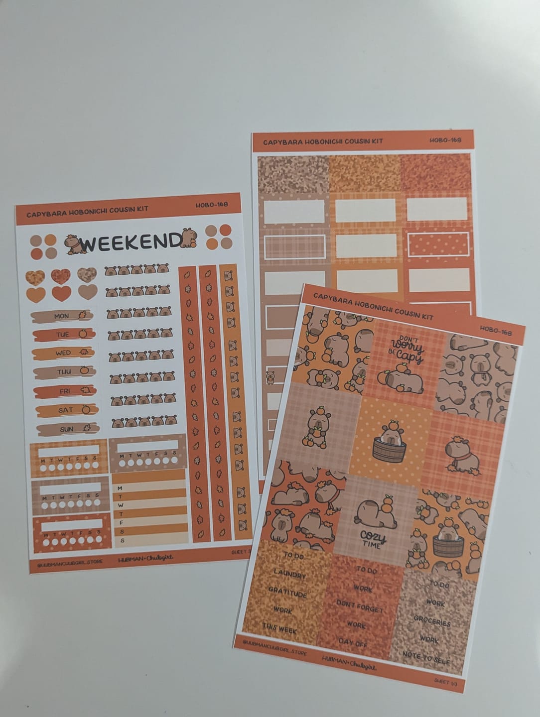 Customer photo review of Autumn Capybaras Theme Hobonichi Cousin Weekly Kit (Set of 3)