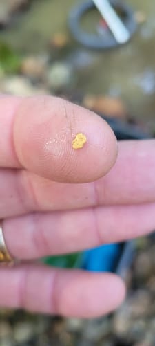 Customer photo review of 10X24 Micro Dream Mat - Big Foot Series