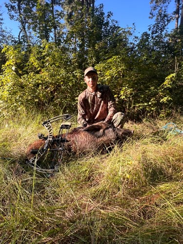 Customer photo review of Beast Broadheads (2-Pack + Practice Tip)