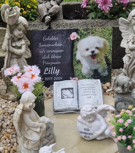 Customer photo review of Hunde Gedenktafel mit Foto & Spruch (UV- & Wetterfest)