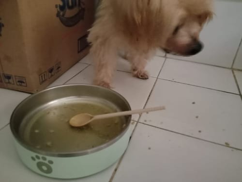 Customer photo review of Cookable Dog BARF Mix