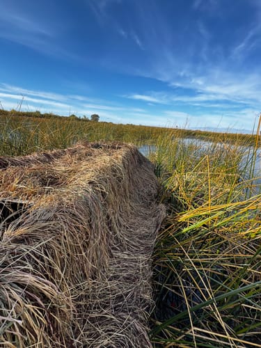 undefined review of Hunting Blind Raffia Grass (Pack) image 1 out of 1